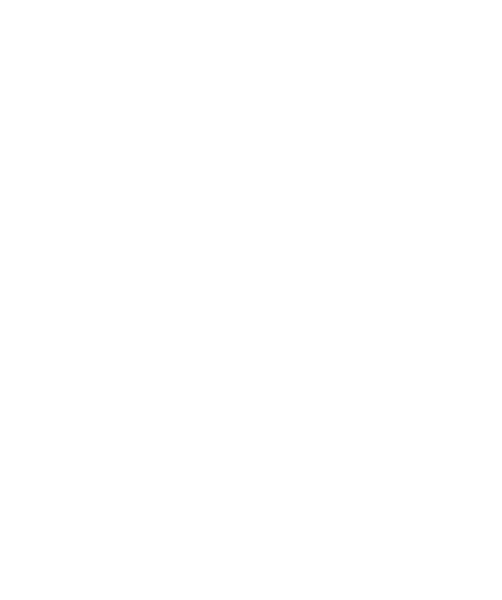 boomerang image