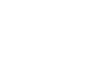 Employer Brand Summit