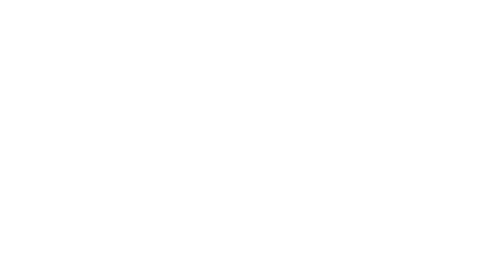 Bat Kariyer
