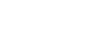 Partner: Ford Otosan